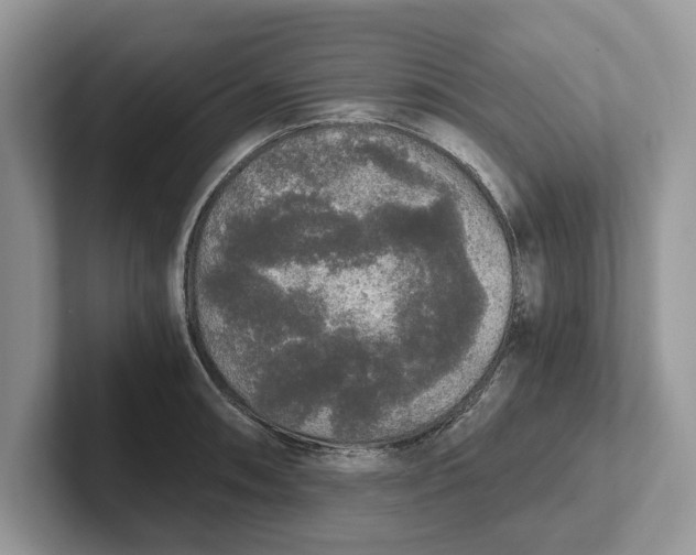 X0000101461090200807211328