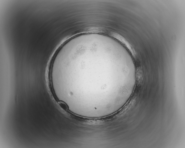 X0000101461091200807211328