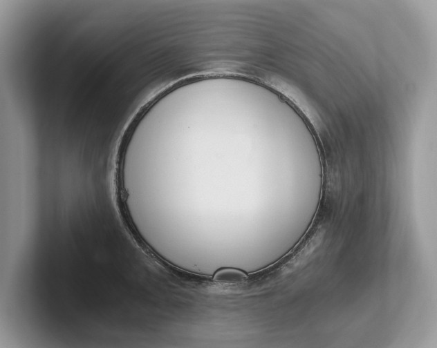 X0000101461093200807211328