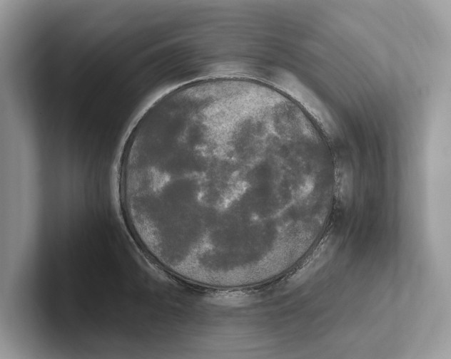 X0000101461094200807211328