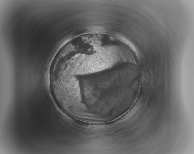 X0000101461095200807211328