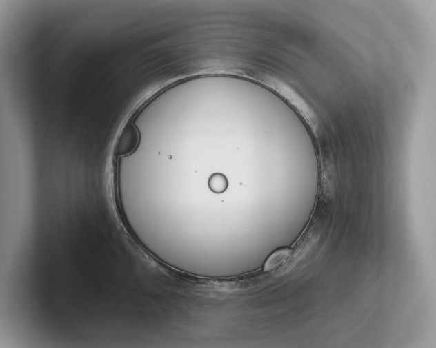X0000101461096200807211328