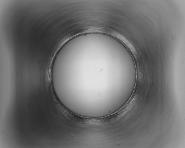 X0000101461097200807211328