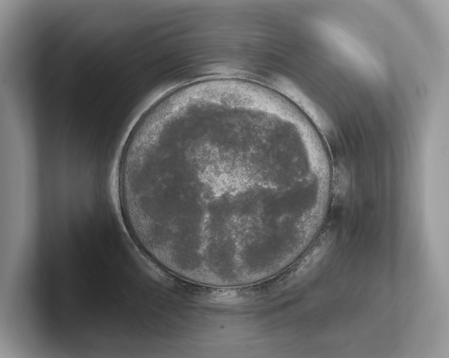 X0000101461098200807211328