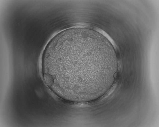X0000101461099200807211328
