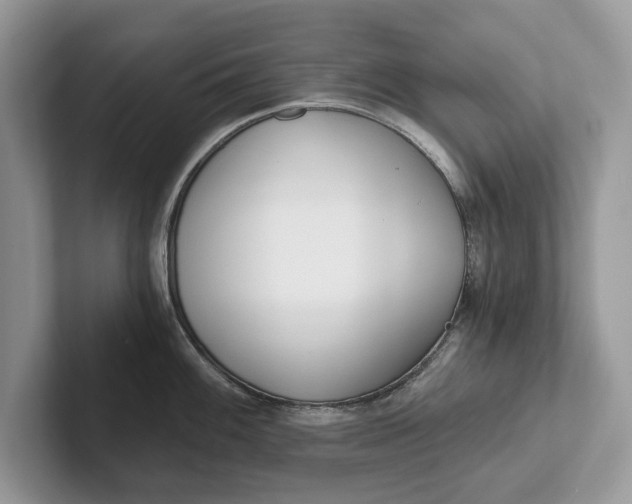 X0000101461100200807211328