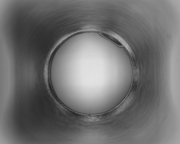 X0000101461101200807211328