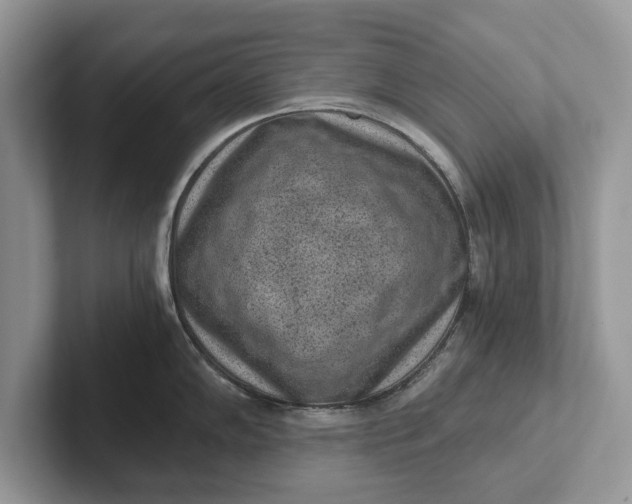 X0000101461102200807211328