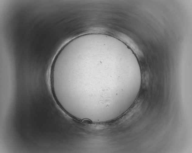 X0000101461103200807211328