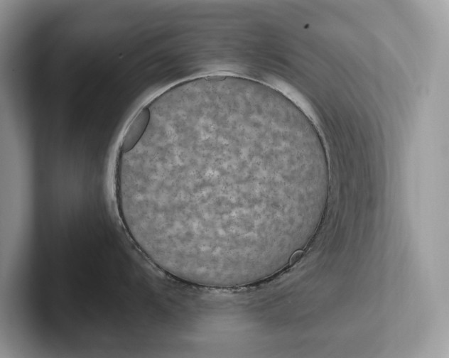 X0000101461104200807211328