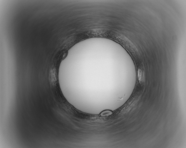 X0000101461107200807211327