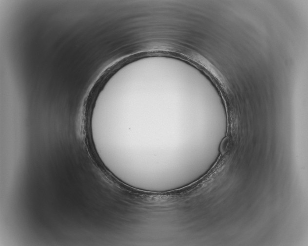 X0000101461116200807211327