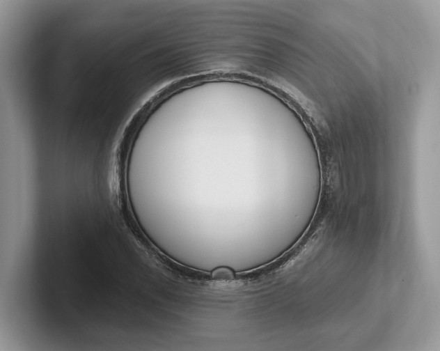 X0000101461118200807211327