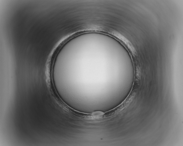 X0000101461120200807211328
