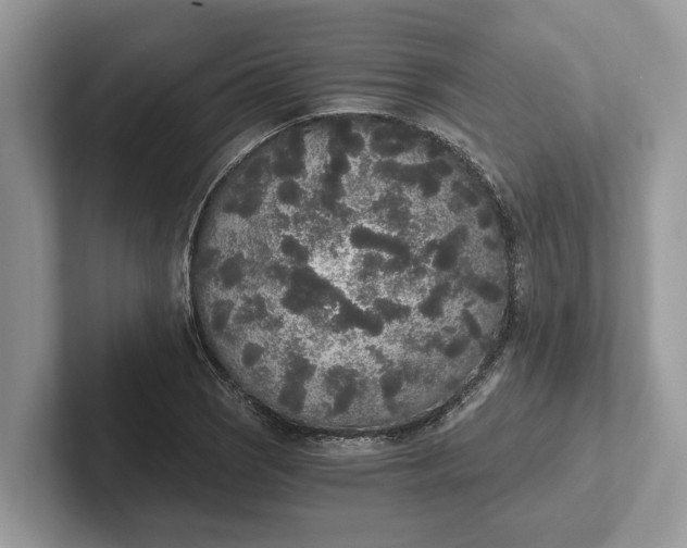 X0000101461121200807211328