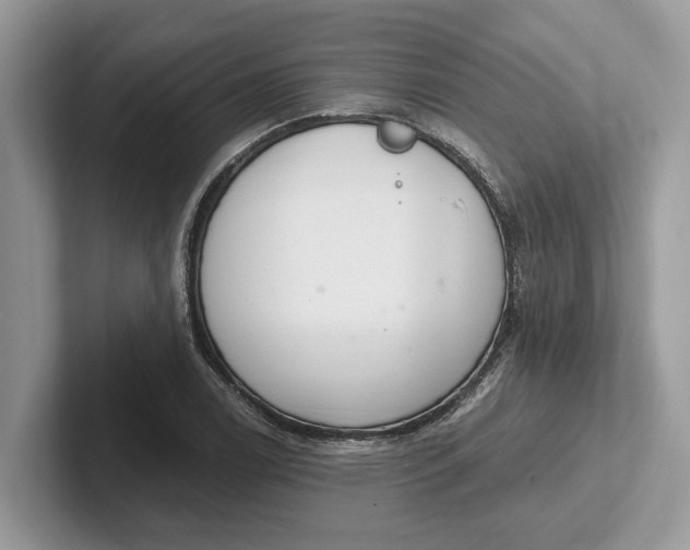 X0000101461122200807211328