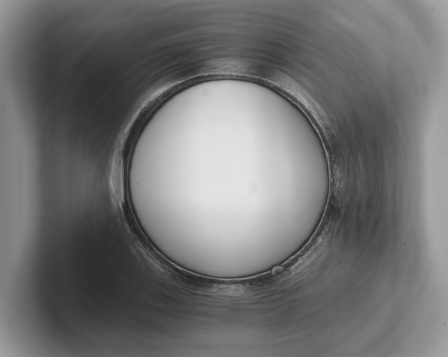 X0000101461123200807211328