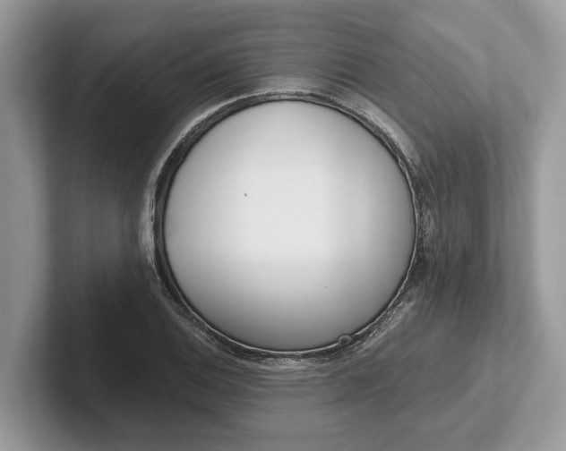 X0000101461124200807211328