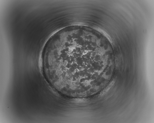 X0000101461125200807211328