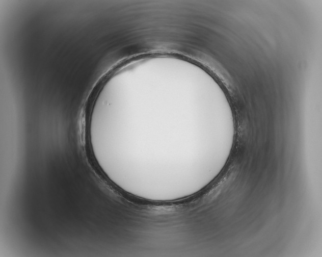 X0000101461126200807211328