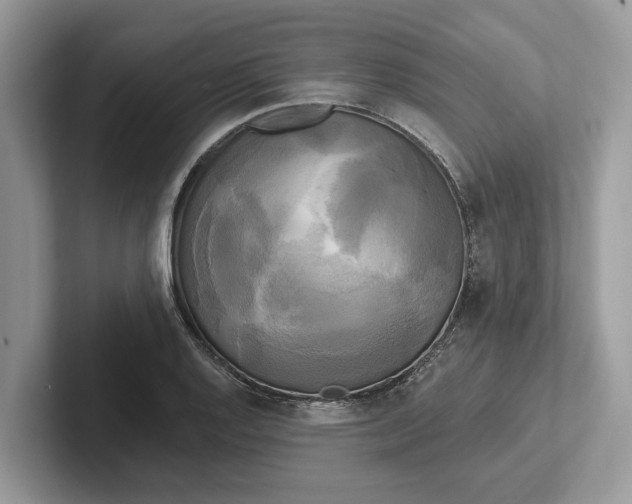 X0000101461128200807211328