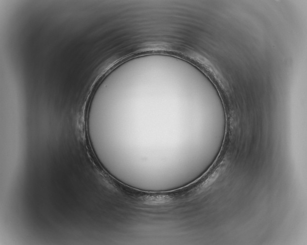 X0000101461129200807211328