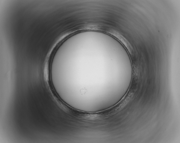 X0000101461131200807211328