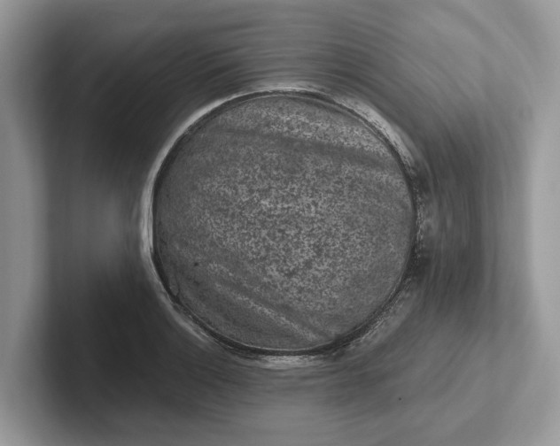 X0000101461132200807211328