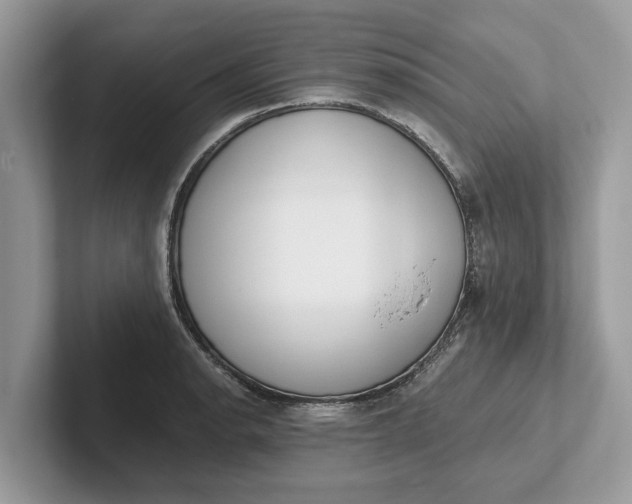 X0000101461134200807211328