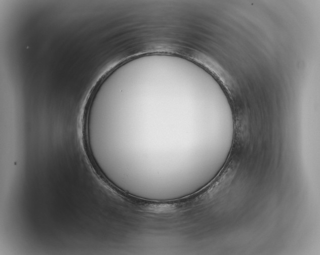 X0000101461135200807211328