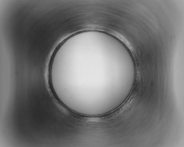 X0000101461136200807211328
