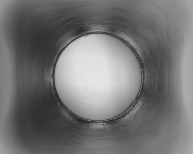 X0000101461137200807211328
