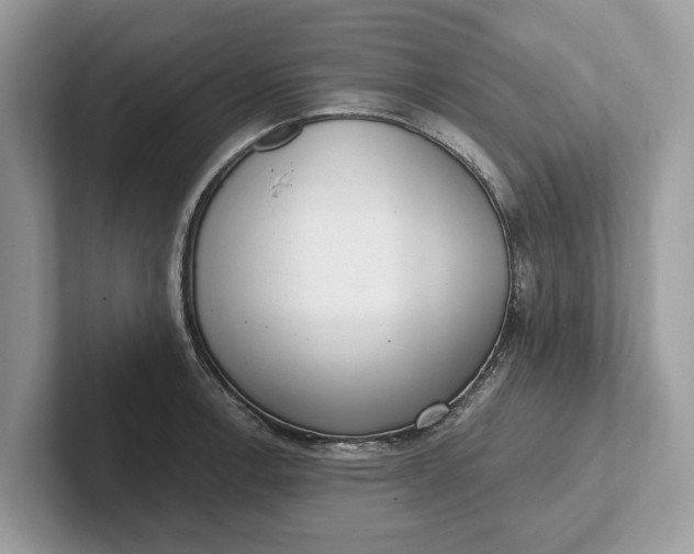 X0000101461138200807211328