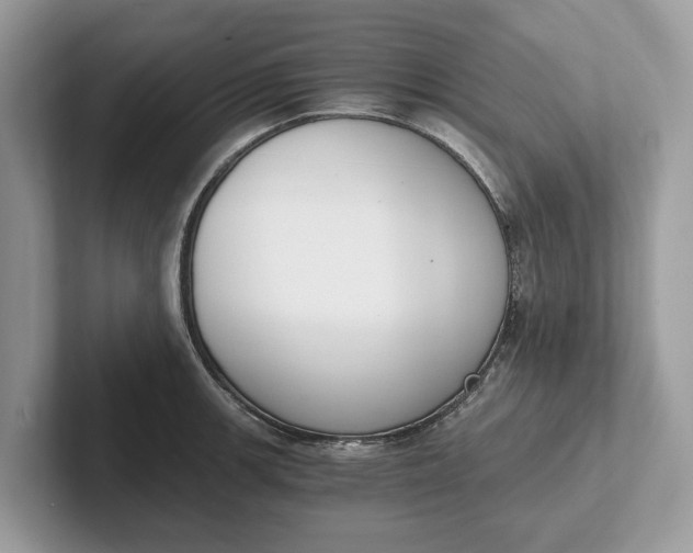 X0000101461139200807211328