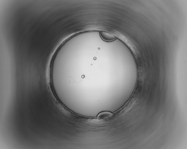 X0000101461140200807211328
