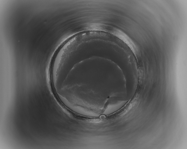 X0000101461141200807211328