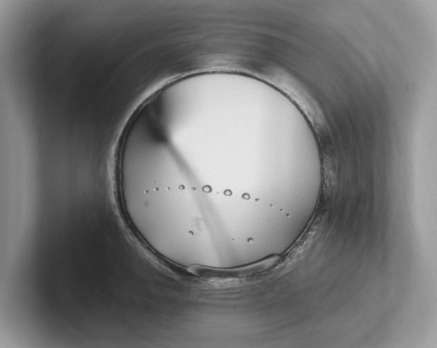 X0000101461142200807211328
