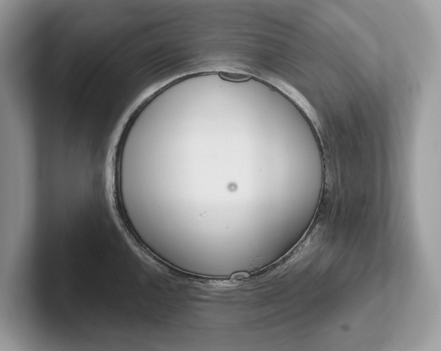X0000101461144200807211328