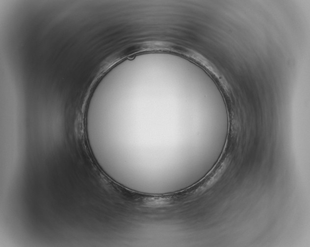X0000101461145200807211328
