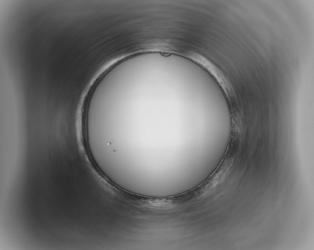 X0000101461147200807211328