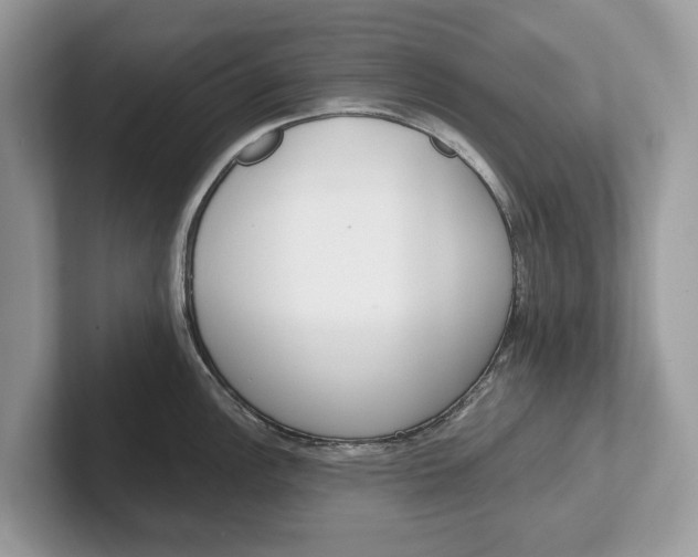 X0000101461148200807211328