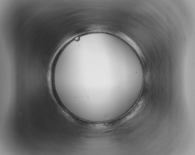 X0000101461149200807211328
