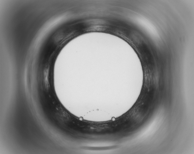 X0000101461150200807211328