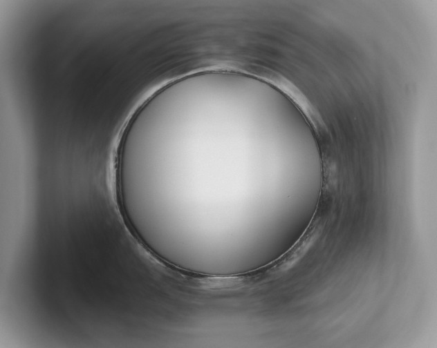 X0000101461151200807211328