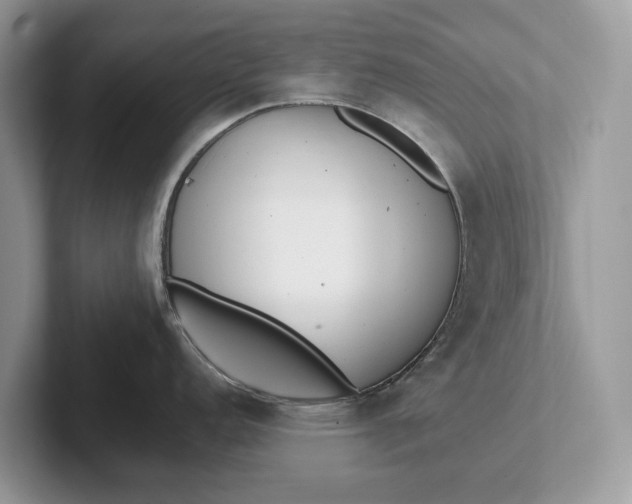 X0000101461152200807211328