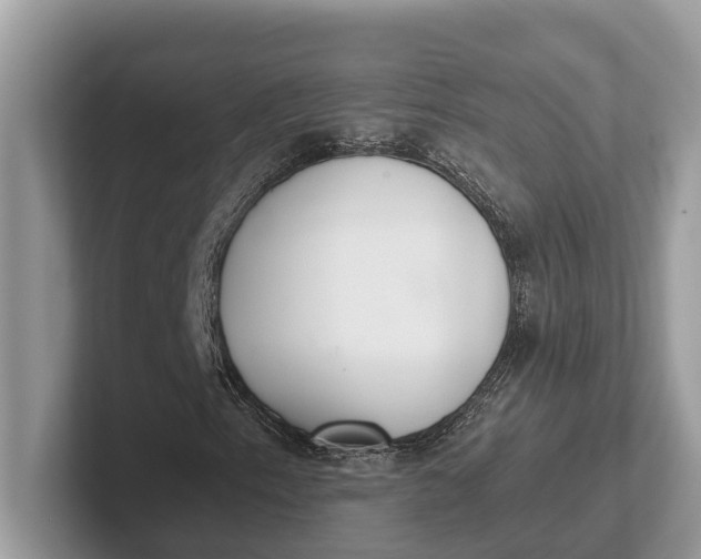 X0000101461153200807211327