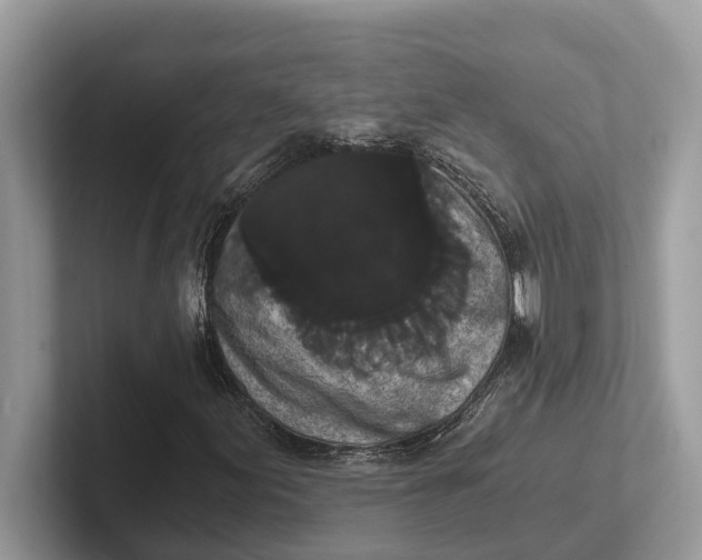 X0000101461155200807211327