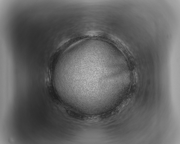 X0000101461158200807211327