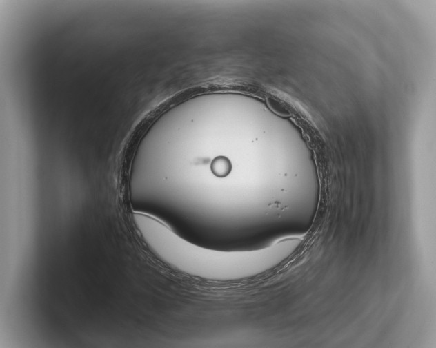 X0000101461160200807211327