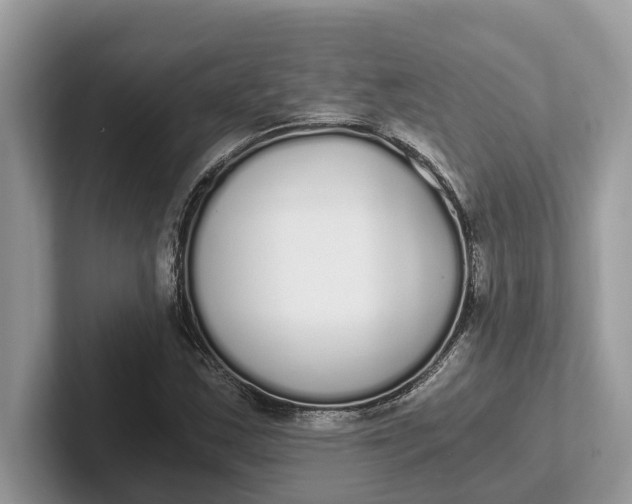 X0000101461163200807211327